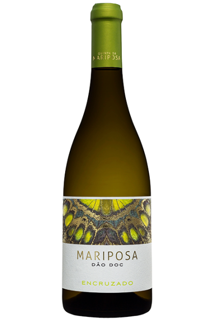 Mariposa DOC DÃO Encruzado Branco 2023 75cl